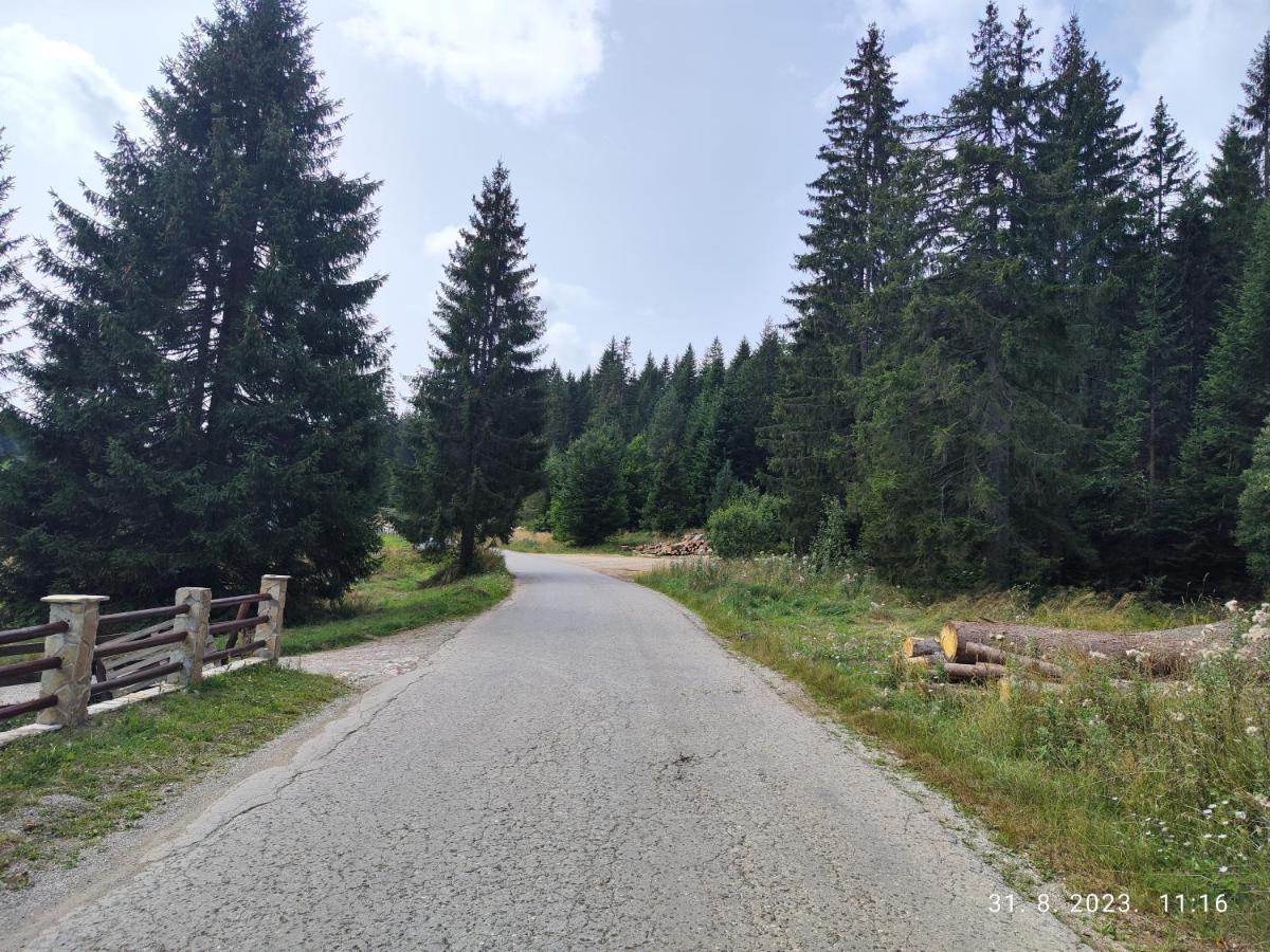 Vila Carobna Suma Tara Баина-Башта Экстерьер фото